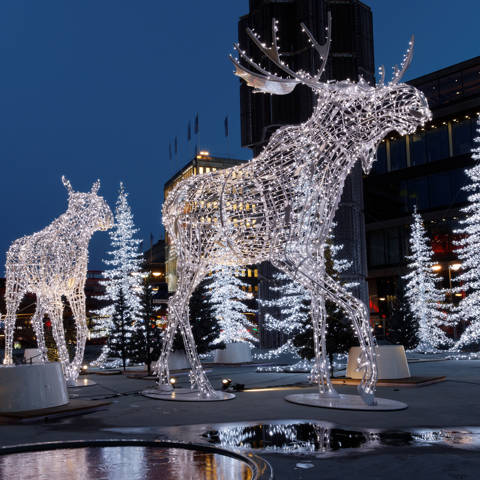 Juleudsmykning i Stockholm i Sverige.