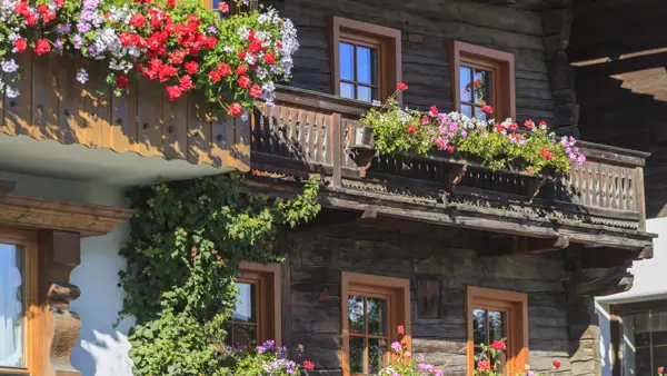 Blomsterkasser i fuld flor på typisk alpehytte i Tyrol i Østrig.