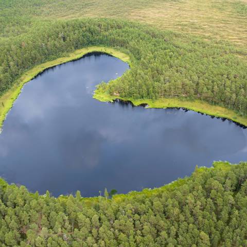 Hjerteformet sø midt i et skovområde i Estland.