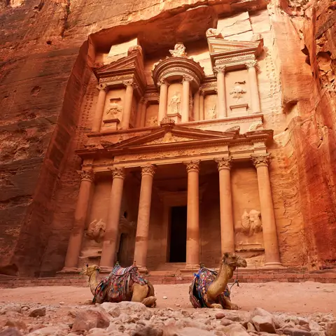 To kameler foran hovedindgangen til Petra i Jordan.